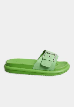 Buckle Strap- Chanclas De Baño - Green -Hava Tienda de ventas 19613bc8278b4539b9227691b667e693 scaled