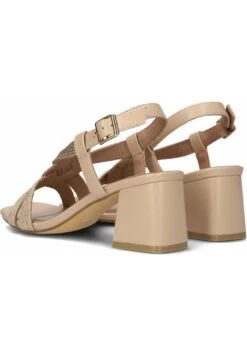 Bibi Lou Sandalias - Beige 6 Bibi Lou Sandalias - Beige -Hava Tienda de ventas bbbb525a466f4ecf830aed75bf6aa245